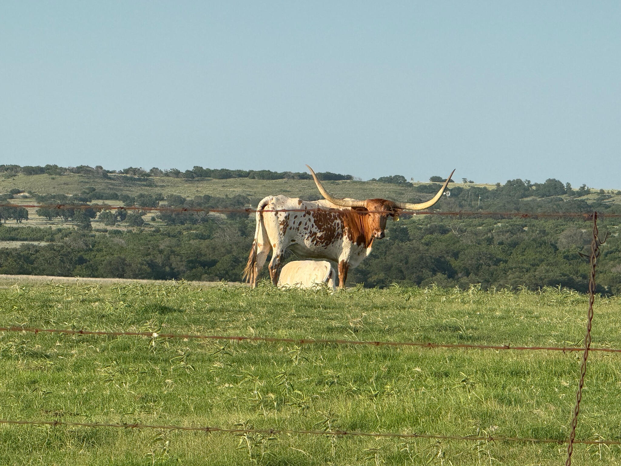 Western Adventures: Where wide-open skies meet bold, unforgettable adventure.