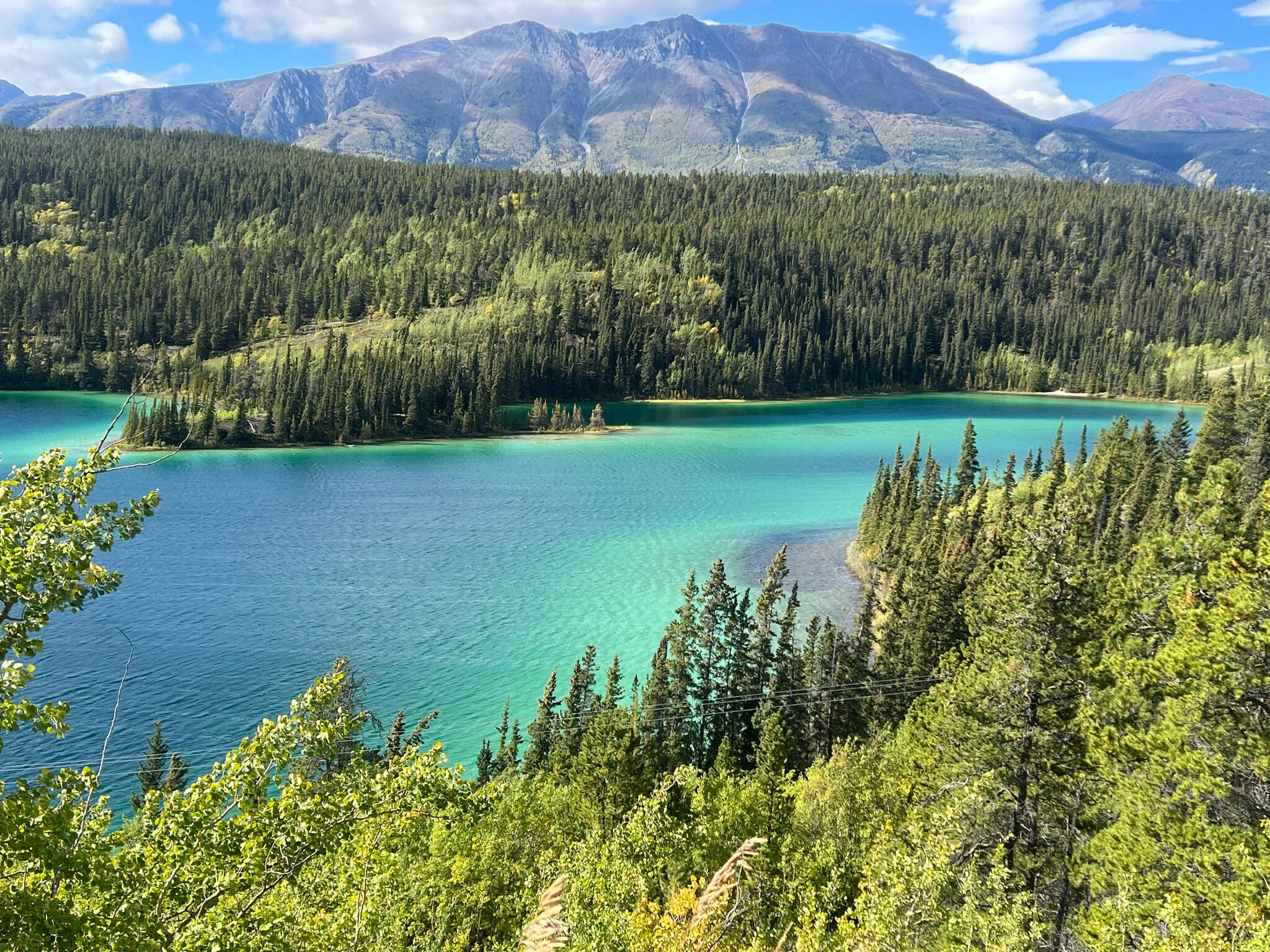 Canada and Alaska: Glaciers, evergreens, and coastal wonder—North America at its most breathtaking.